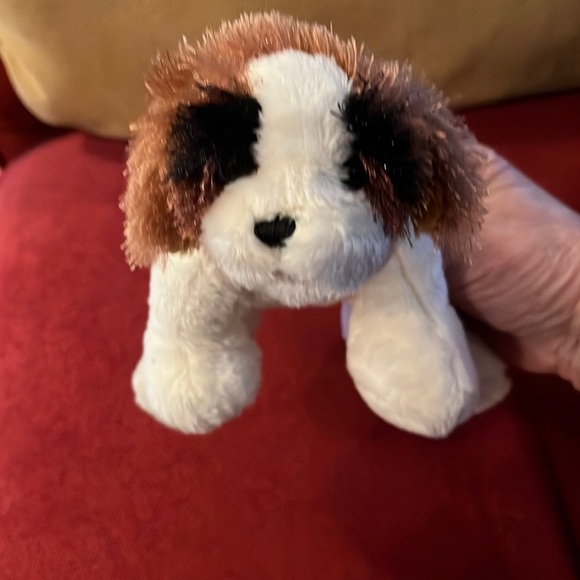 Lil Kinz St. Bernard Webkinz by Ganz. - Picture 1 of 6